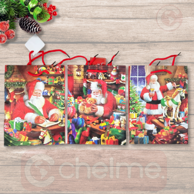 BOLSA DE REGALO 18*23*8_12 UNIDADAES/BOLSA