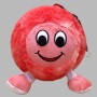 PELOTA