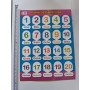 CALENDARIOS_SET DE 12 PCS