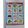 CALENDARIOS_SET DE 12 PCS