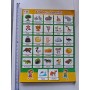 CALENDARIOS_SET DE 12 PCS