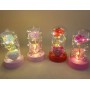 ROSA EN CAPSULA CON LUZ