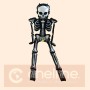 GLOBO ESQUELETO 84*255