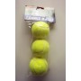 SET PELOTA  DE TENIS